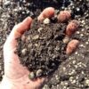 Vital Bloom Plant Growth Enhancer (500G / 1KG/ 2KG)